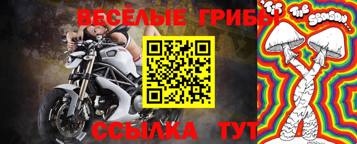 наркошоп  Псилоцибиновые грибы мухоморы  Вход с VPN  Улан-Удэ 