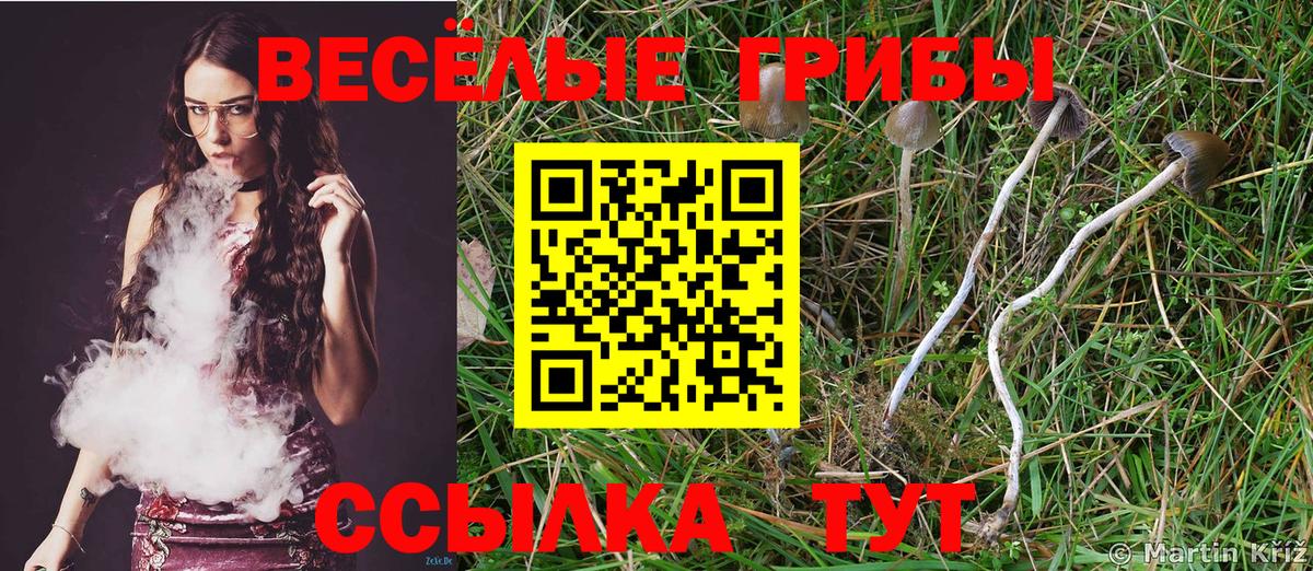 Галлюциногенные грибы Cubensis Улан-Удэ